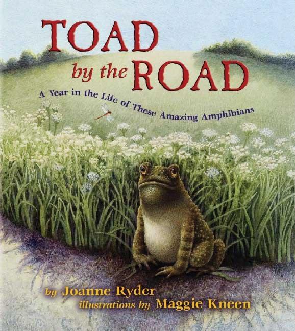 Toad by the Road: A Year in the Life of These Amazing Amphibians