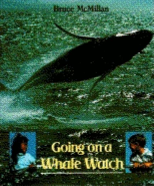 Going on a Whale Watch