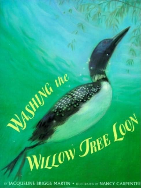 Washing the Willow Tree Loon