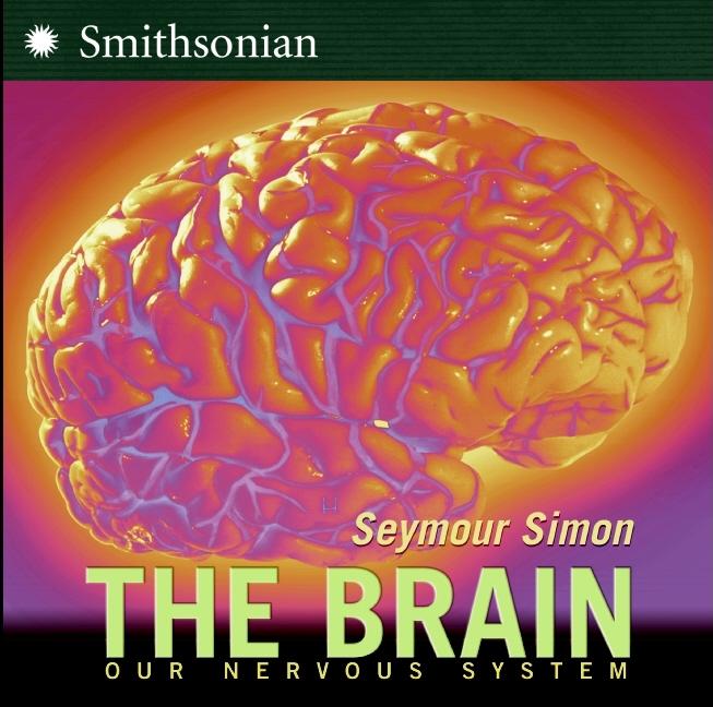 Brain, The: Our Nervous System