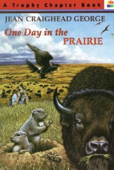 One Day in the Prairie