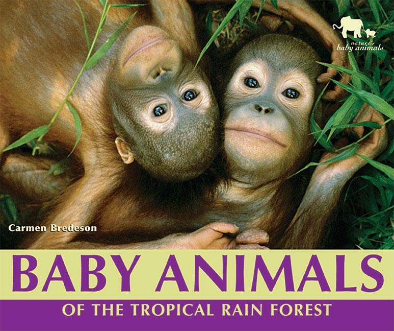 Baby Animals of the Tropical Rain Forest