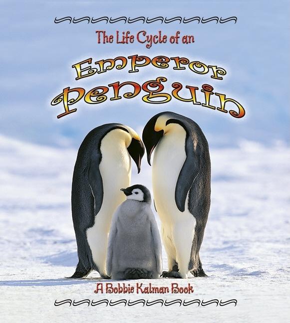 The Life Cycle of a Emperor Penguin