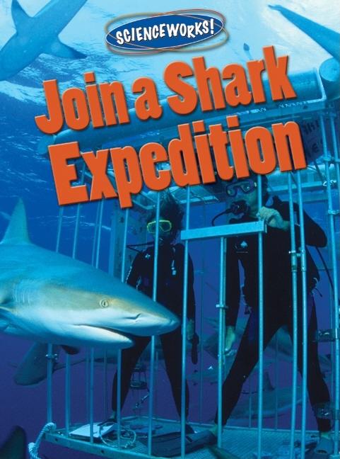 Join a Shark Expedition