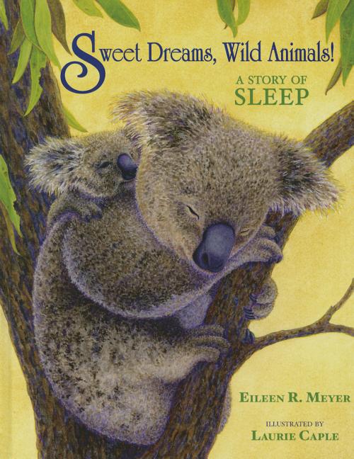 Sweet Dreams, Wild Animals!: A Story of Sleep