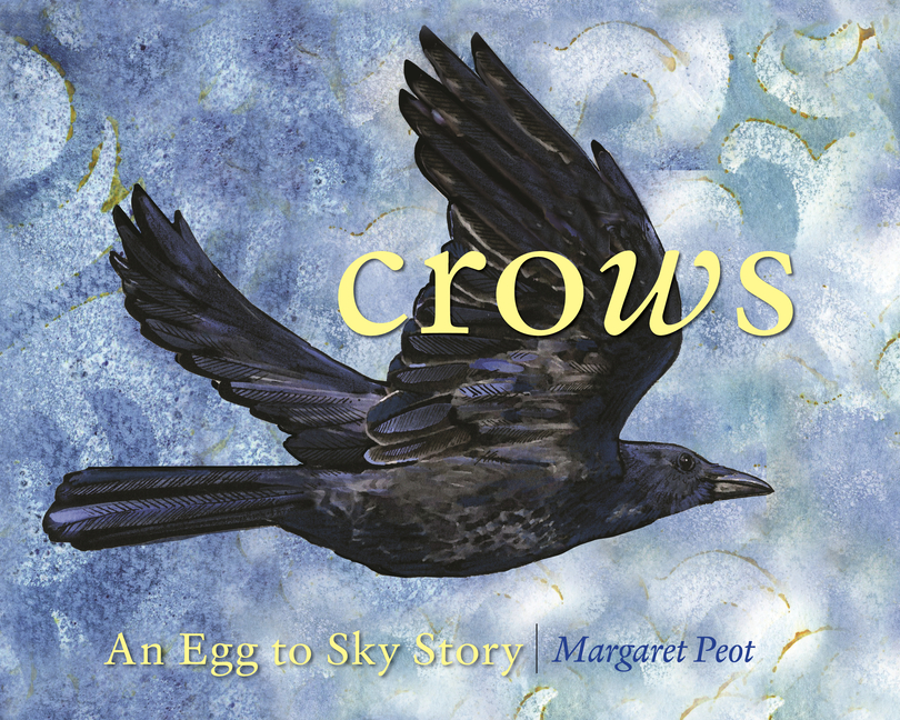 Crows: An Egg-To-Sky Story