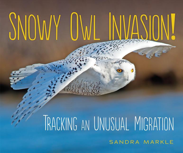 Snowy Owl Invasion!: Tracking an Unusual Migration