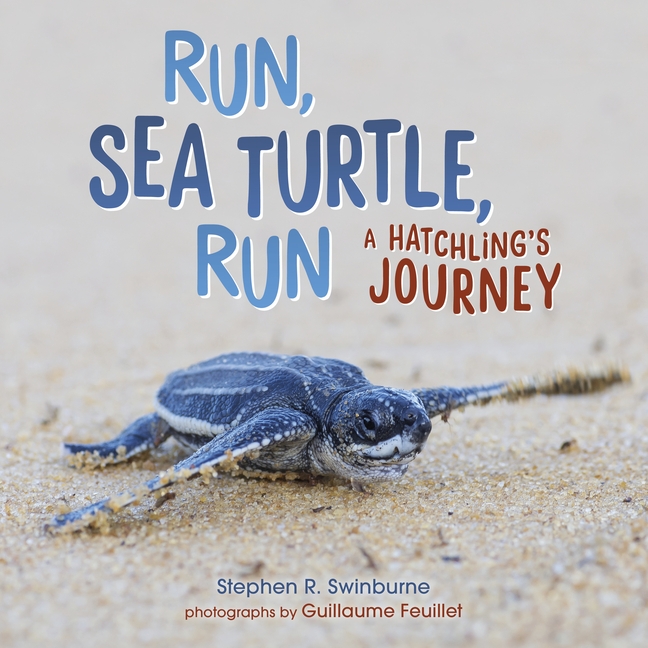 Run, Sea Turtle, Run: A Hatchling's Journey