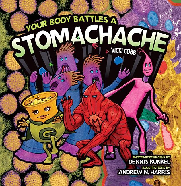 Your Body Battles a Stomachache
