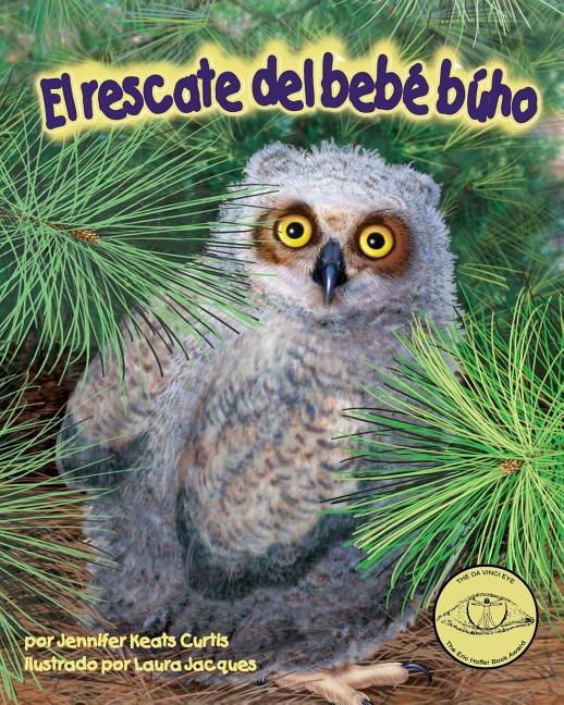 El rescate del bebé búho