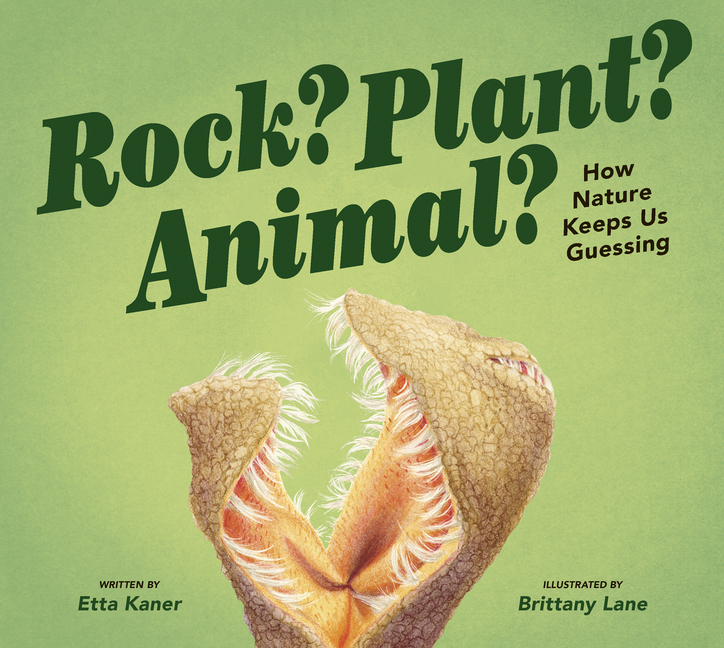 Rock? Plant? Animal?: How Nature Keeps Us Guessing