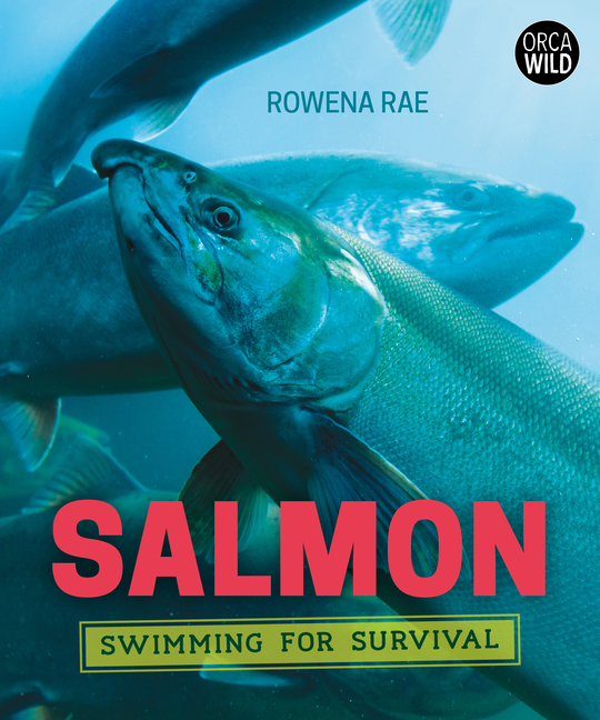 Salmon: Swimming for Survival