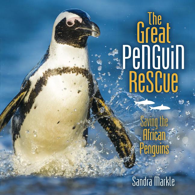 The Great Penguin Rescue: Saving the African Penguins