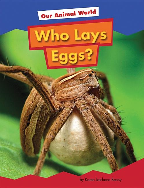 Who Lays Eggs?
