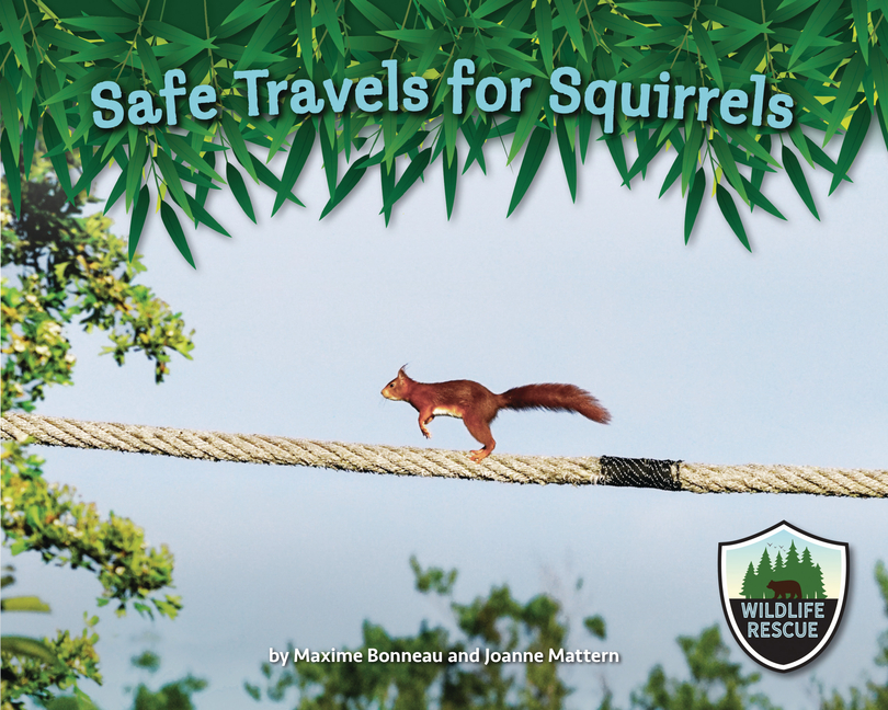 Safe Travels for Squirrels