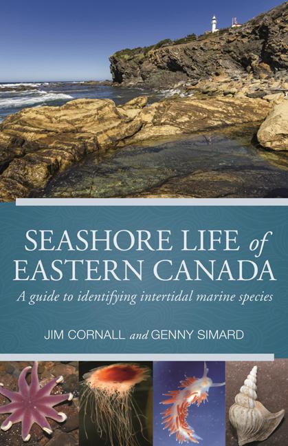 Seashore Life of Eastern Canada: A Guide to Identifying Intertidal Marine Species