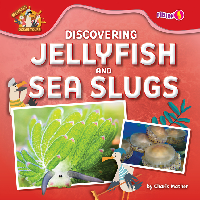 Discovering Jellyfish and Sea Slugs