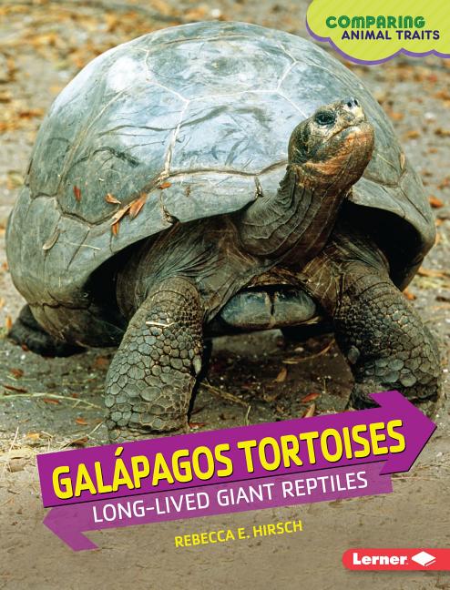 Galápagos Tortoises: Long-Lived Giant Reptiles