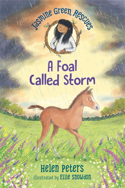 Foal Called Storm, A