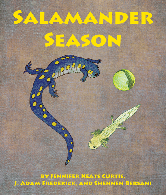 Salamander Season