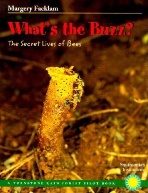 What's the Buzz?: The Secret Lives of Bees