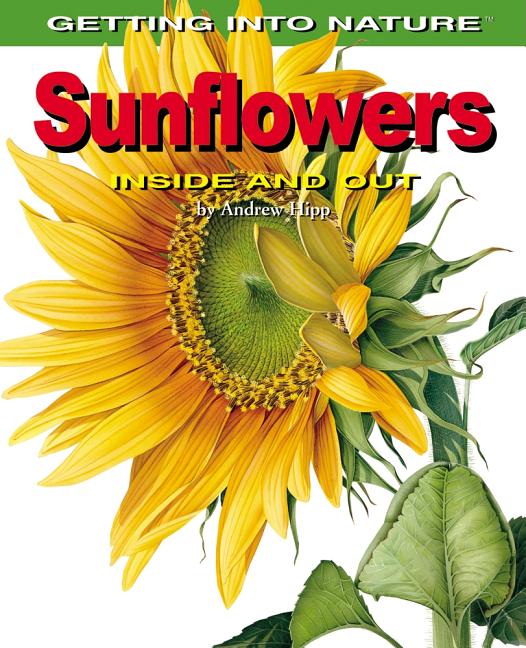 Sunflowers: Inside and Out