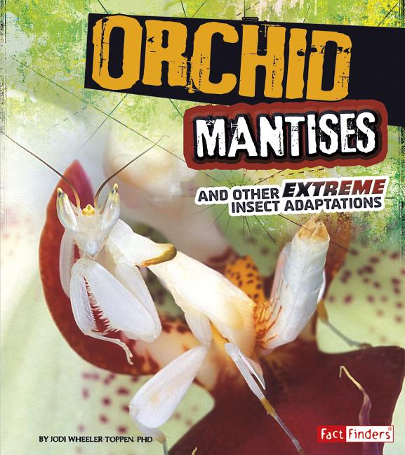 Orchid Mantises: And Other Extreme Insect Adaptations