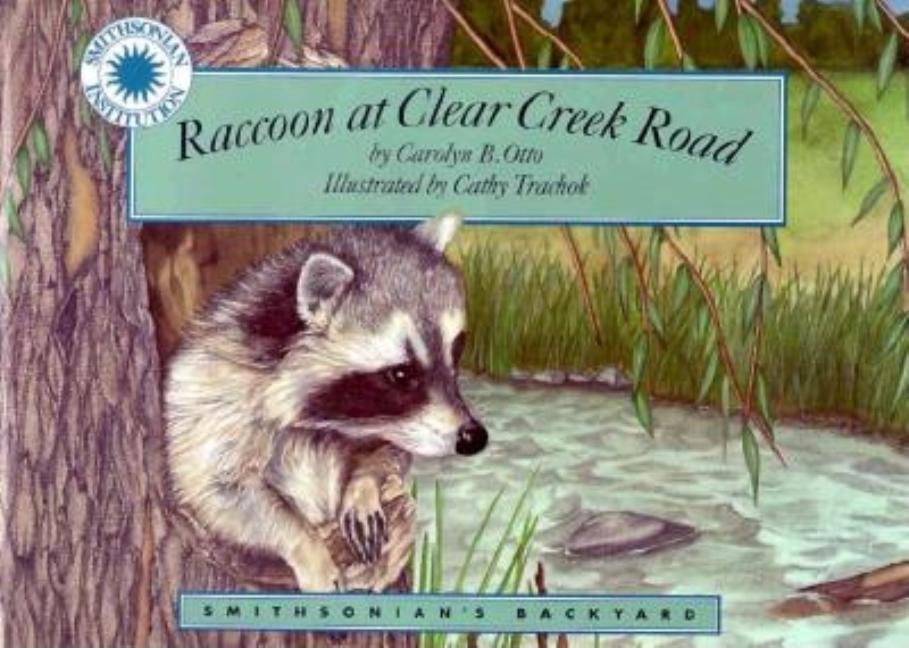 Raccoon at Clear Creek Road
