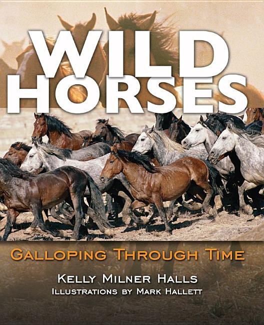 Wild Horses: Galloping Through Time