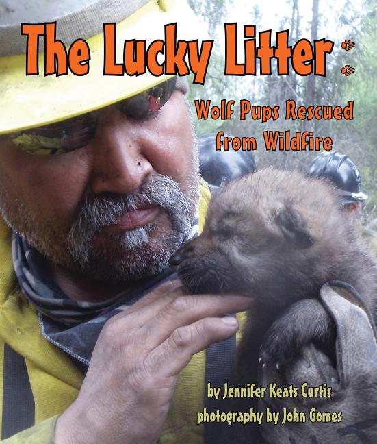The Lucky Litter: Wolf Pups Rescued from Wildfire