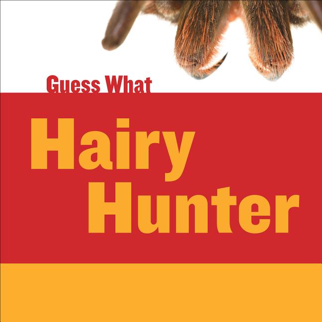 Hairy Hunter: Tarantula