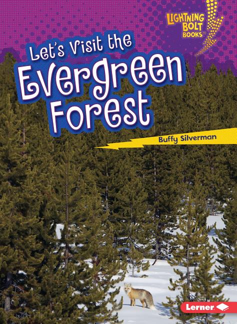 Let's Visit the Evergreen Forest