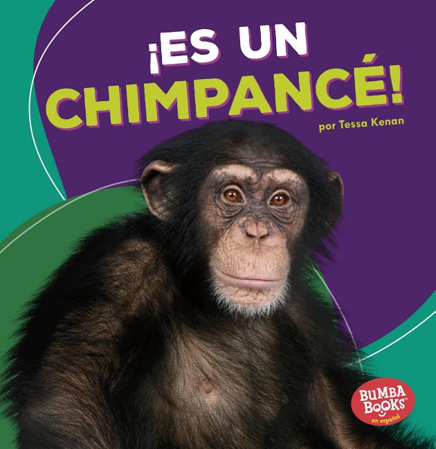 ¡Es un chimpancé!