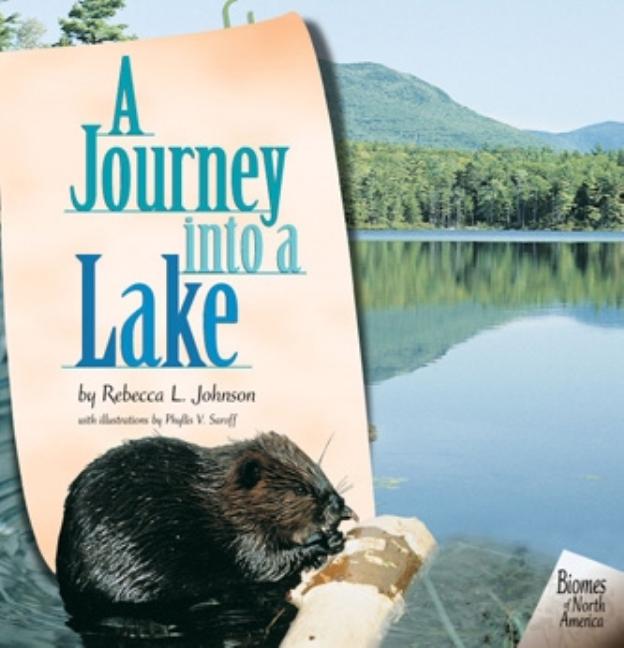 A Journey Into a Lake