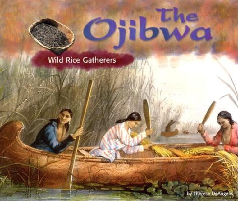 The Ojibwa: Wild Rice Gatherers