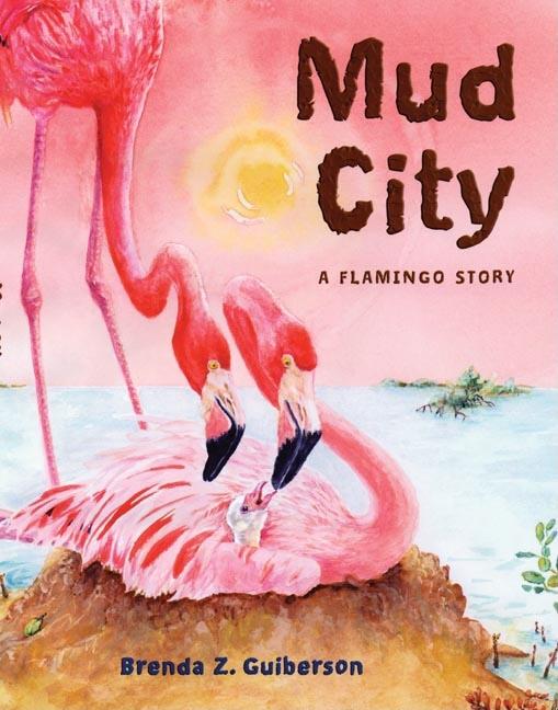 Mud City: A Flamingo Story