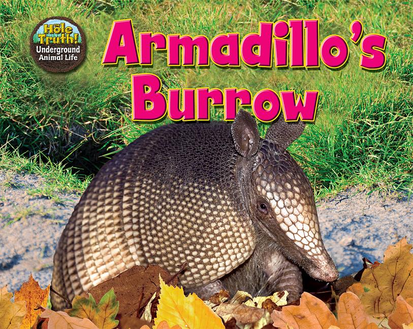 Armadillo's Burrow
