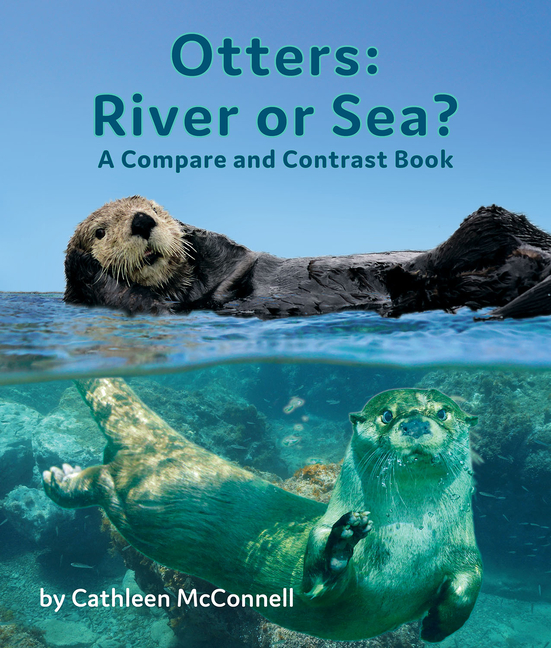 Otters: River or Sea?