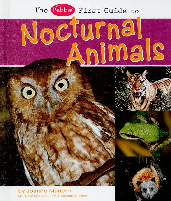 TeachingBooks | Nocturnal Animals