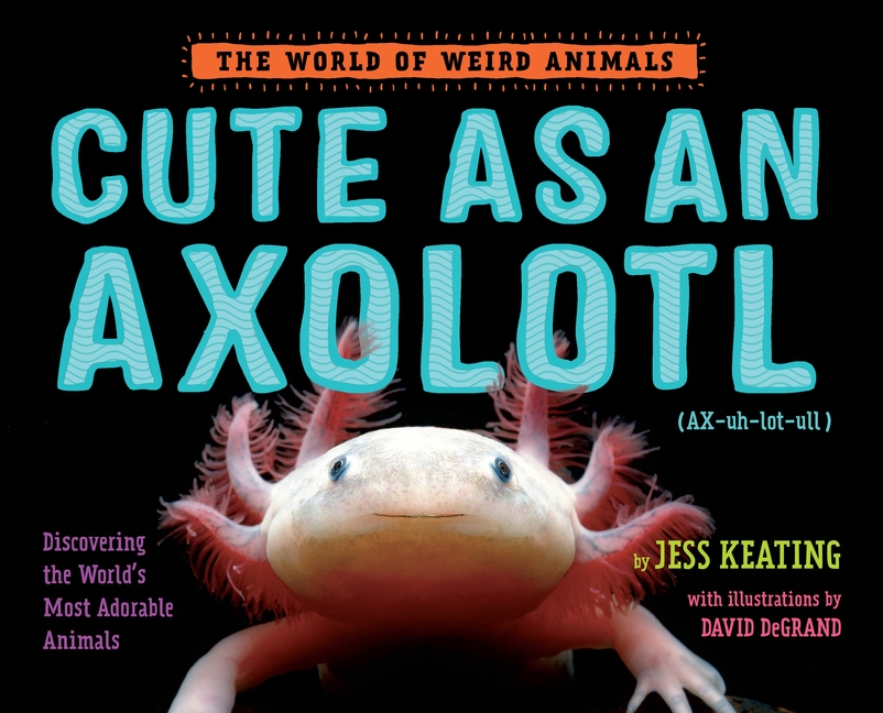 Cute as an Axolotl: Discovering the World's Most Adorable Animals