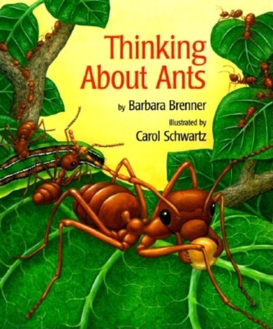 Thinking about Ants