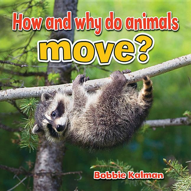 How and Why Do Animals Move?