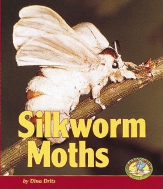 Silkworm Moths
