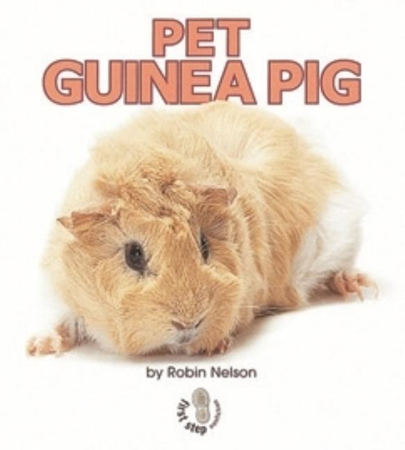 Pet Guinea Pig