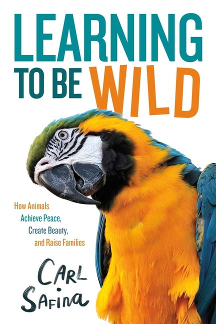 Learning to Be Wild (Young Reader's Adaptation): How Animals Achieve Peace, Create Beauty, and Raise Families