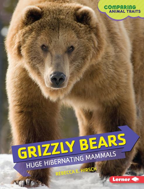 Grizzly Bears: Huge Hibernating Mammals
