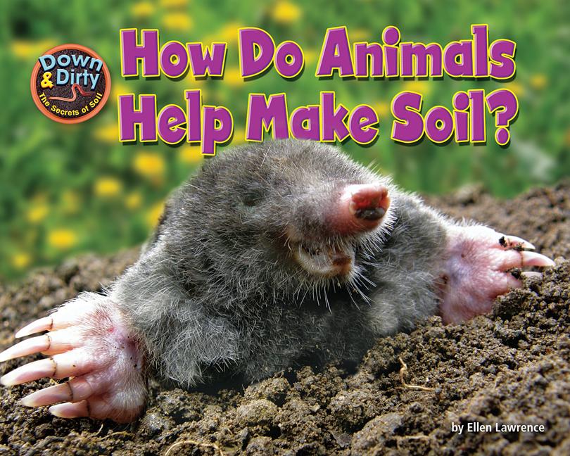 How Do Animals Make Soil?
