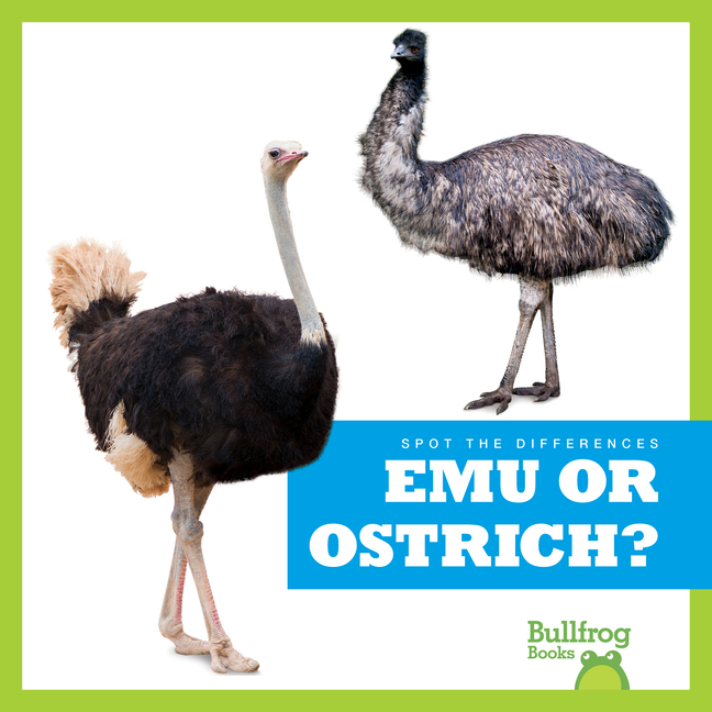 Emu or Ostrich?