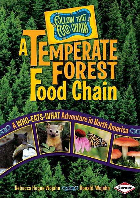 A Temperate Forest Food Chain: A Who-Eats-What Adventure in North America