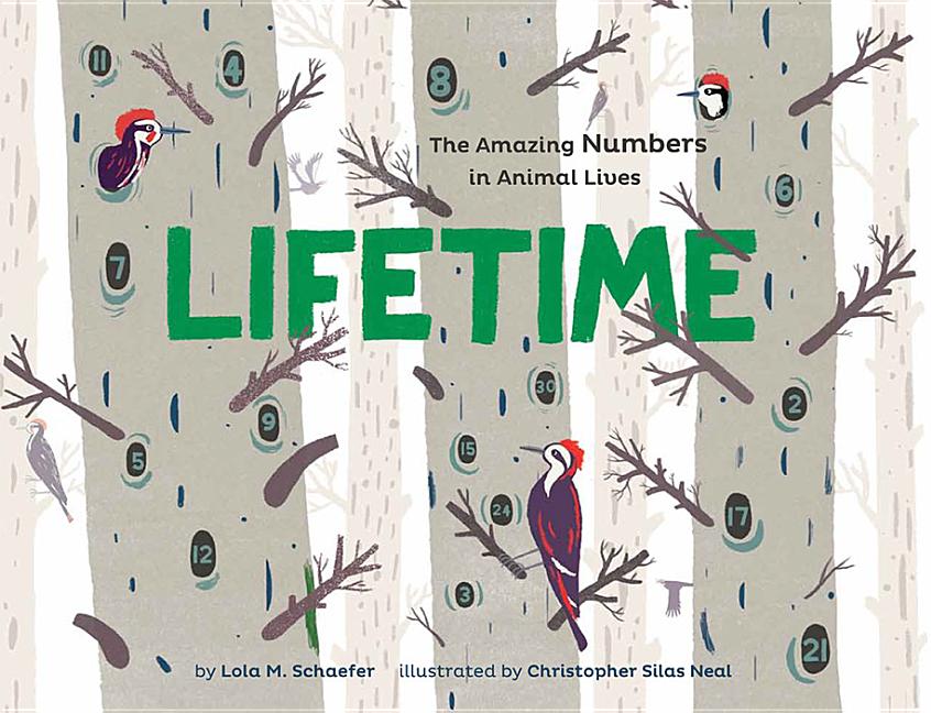 Lifetime: The Amazing Numbers in Animal Lives